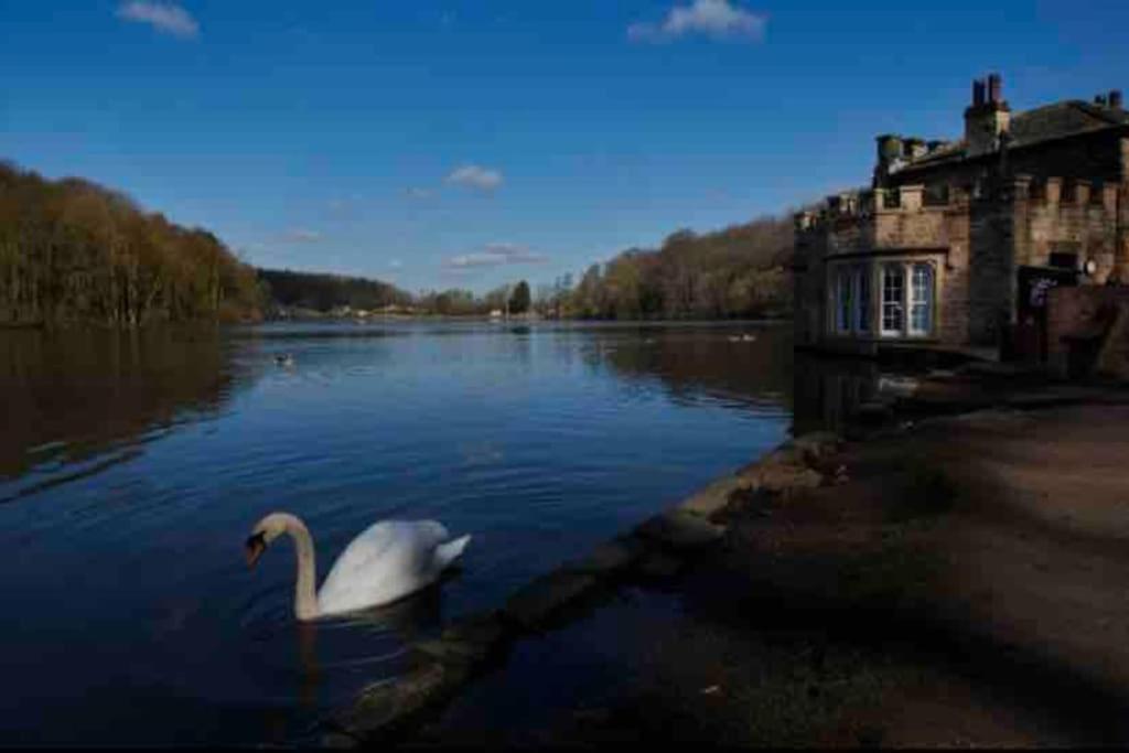 Millstone Cottage Newmillerdam Hill Top المظهر الخارجي الصورة